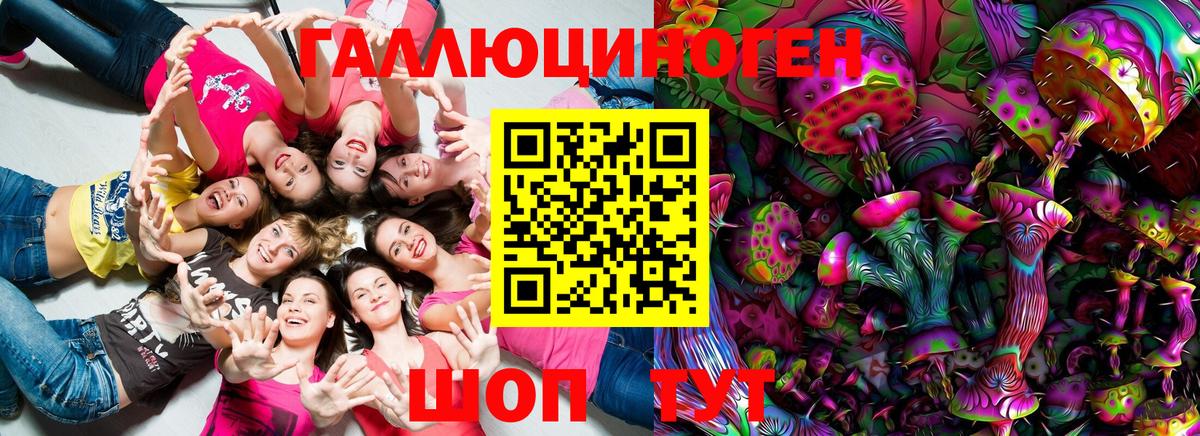 Псилоцибиновые грибы Psilocybe  Вход с VPN  Бердск 