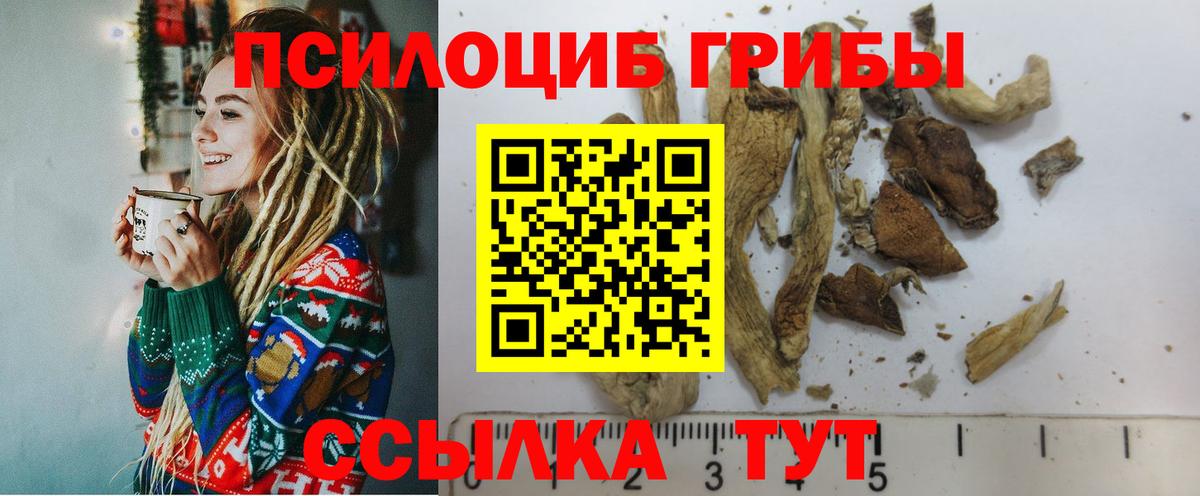 Псилоцибиновые грибы прущие грибы Бердск