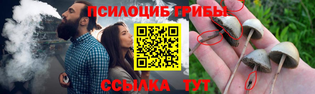 ГАШИШ Бердск