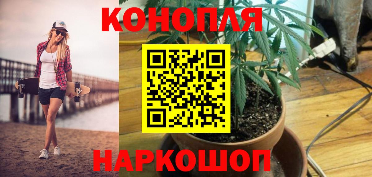 Каннабис семена Бердск